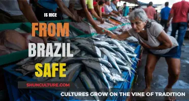Is Brazilian Rice Safe? Exploring Quality, Standards, and Health Concerns
