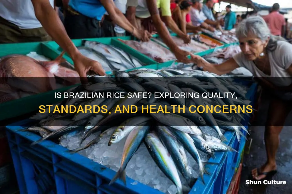 is rice from brazil safe
