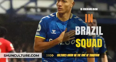 Is Richarlison in Brazil's Squad? Latest Updates and Insights