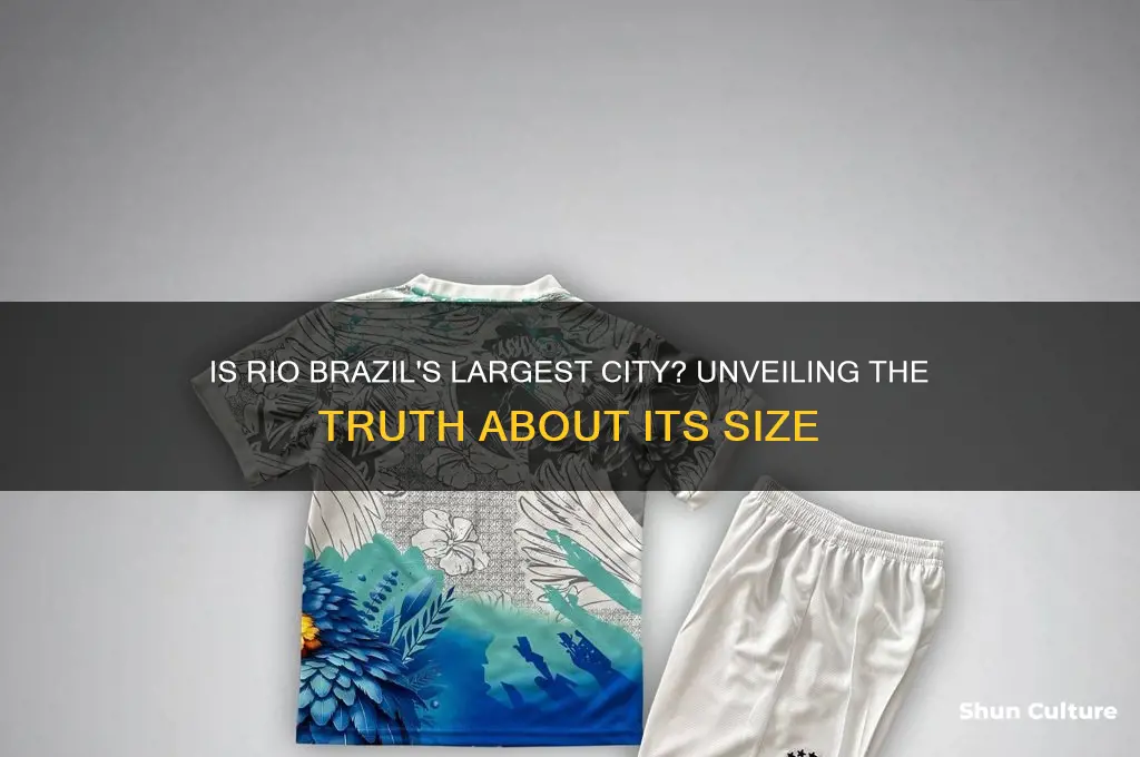 is rio the biggest city in brazil