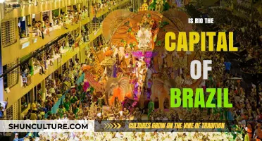 Is Rio the Capital of Brazil? Unraveling the Myth and Facts