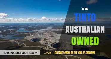 Rio Tinto: Australian-Owned? A Complex Ownership Structure