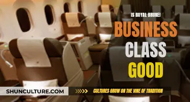 Business Class on Royal Brunei: Worth the Money?