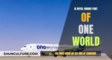 One World Alliance: Does Royal Brunei Airlines Fit In?