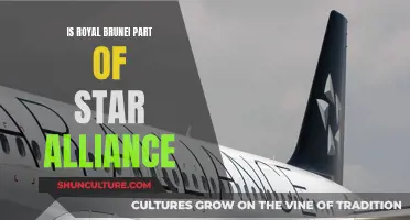 Star Alliance: Does Royal Brunei Airlines Belong?