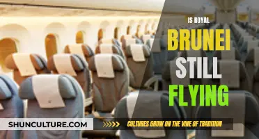 Royal Brunei's Future: Still Flying High?