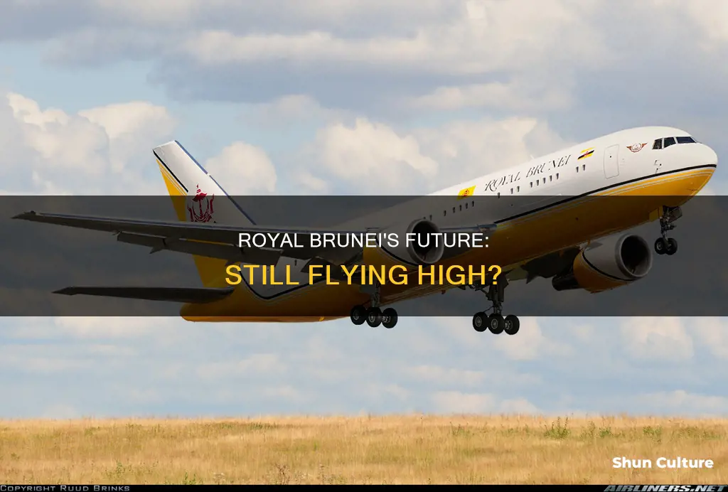 is royal brunei still flying