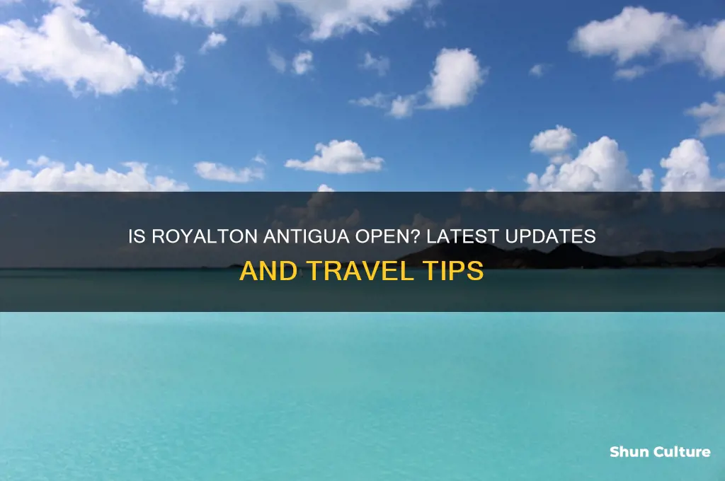 is royalton antigua open
