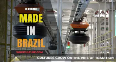 Exploring Brazil's Role in Global Rubber Production and Manufacturing