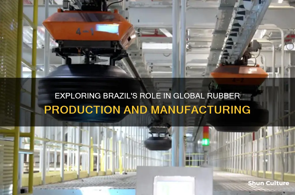 is rubber made in brazil