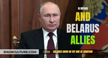 Russia-Belarus: Allies or Not?