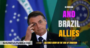 Russia and Brazil: Unraveling Their Complex Diplomatic Alliance Dynamics