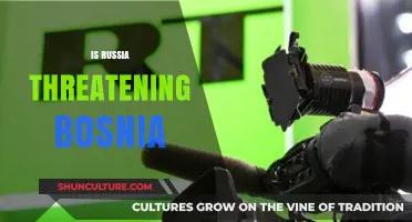 Russia's Growing Influence: A Threat to Bosnia's Stability?