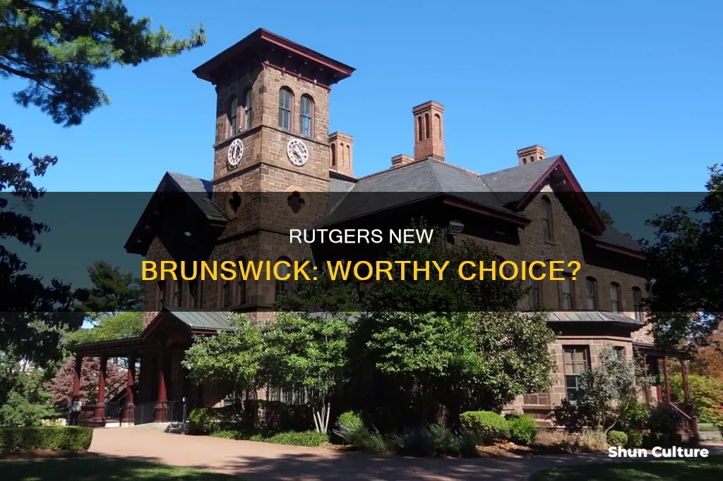 is rutgers new brunswick a good college