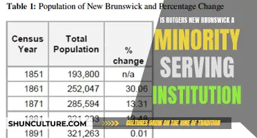 Rutgers New Brunswick: Serving Minority Students