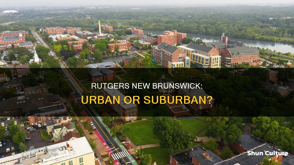 is rutgers new brunswick urban or suburban