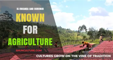 Agricultural Riches: Exploring Rwanda and Burundi's Farming Heritage