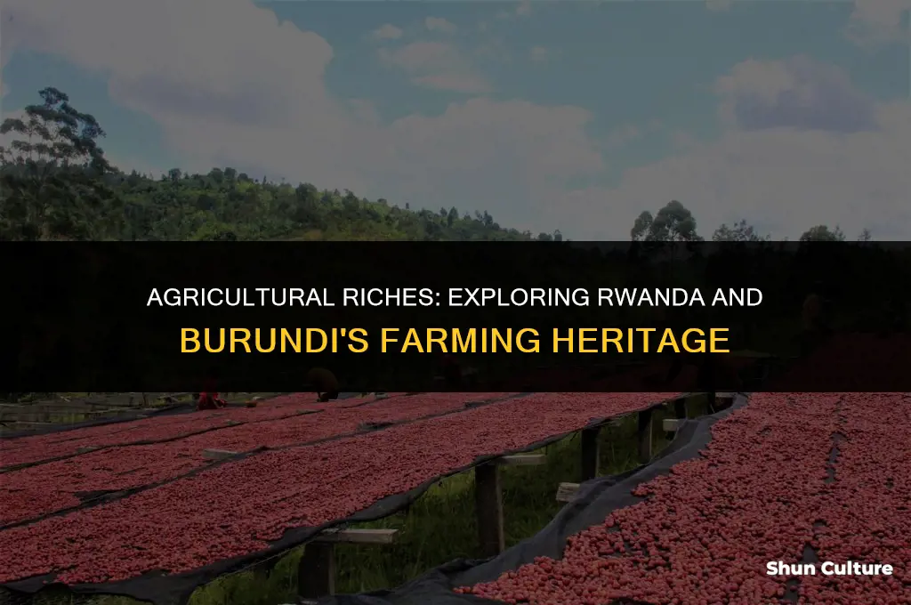 is rwanda and burundi known for agriculture