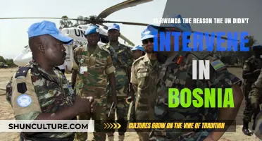 Rwanda's Shadow: Did It Influence UN's Bosnia Inaction?