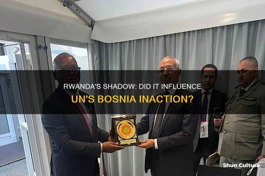 is rwanda the reason the un didn