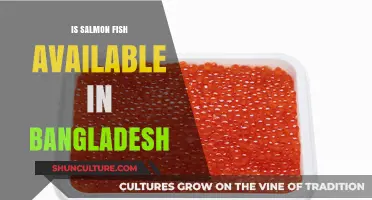Exploring Salmon Fish Availability in Bangladesh: A Comprehensive Guide