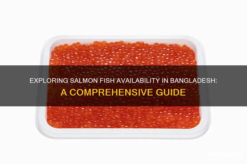 is salmon fish available in bangladesh