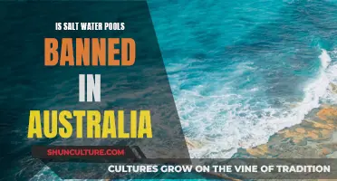 Salt Water Pools: Australia's Ban Explained