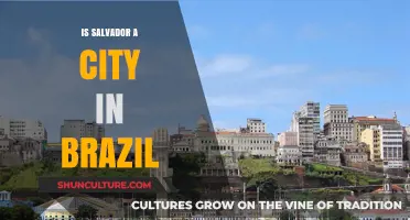 Is Salvador a City in Brazil? Unraveling the Confusion
