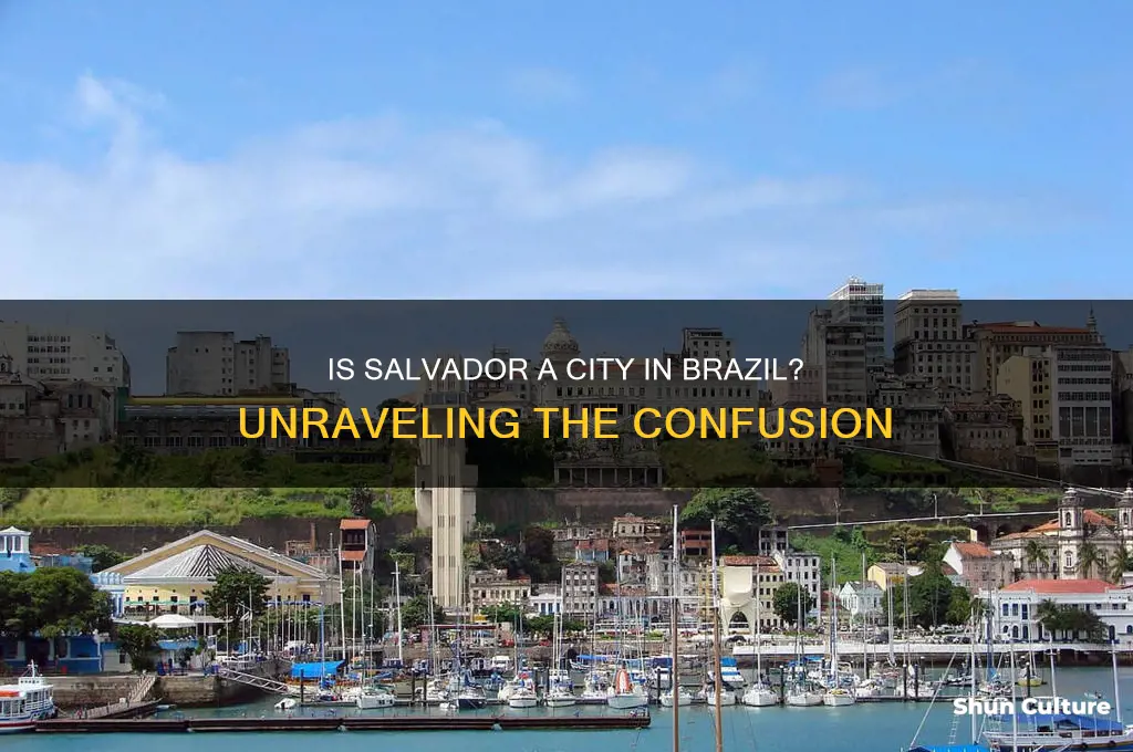 is salvador a city in brazil
