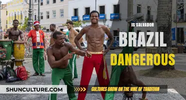 Is Salvador, Brazil Dangerous? Uncovering Safety Myths and Realities