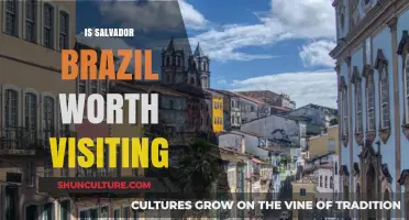 Discover Salvador, Brazil: A Cultural Gem Worth Exploring?