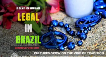 Is Same-Sex Marriage Legal in Brazil? Exploring LGBTQ+ Rights