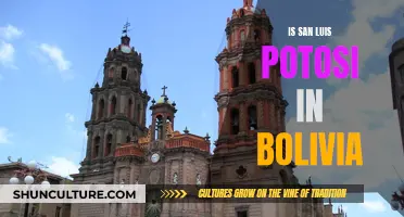 San Luis Potosi: Bolivian City or Not?