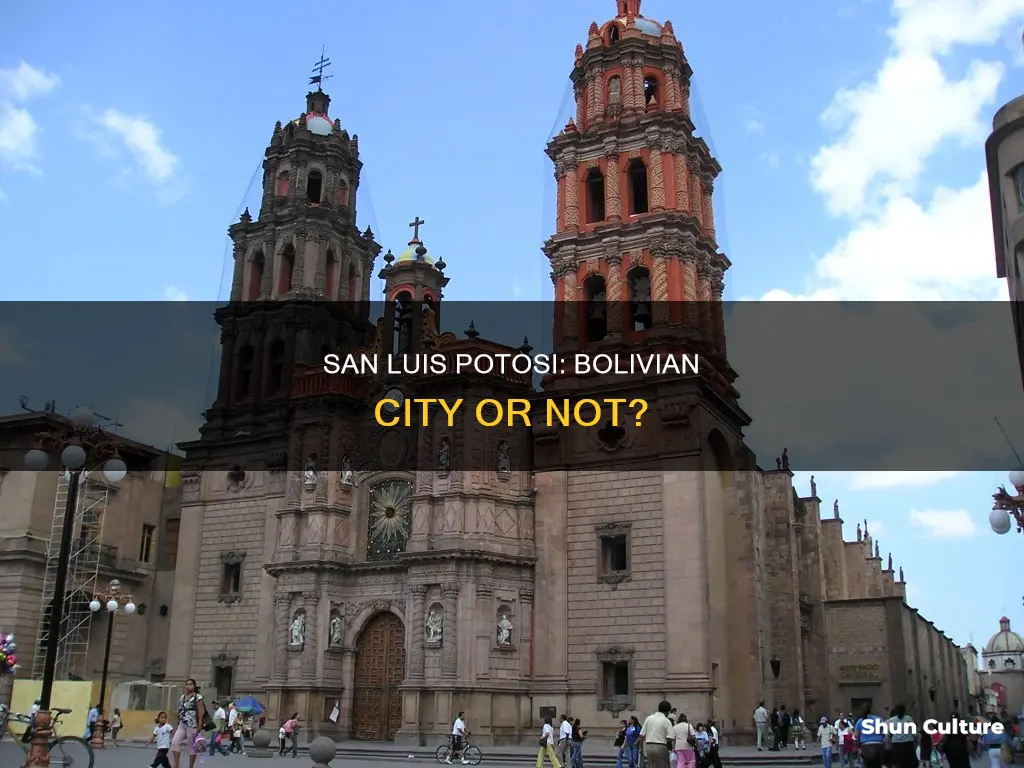 is san luis potosi in bolivia