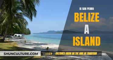 The Island of San Pedro: A Tropical Paradise in Belize