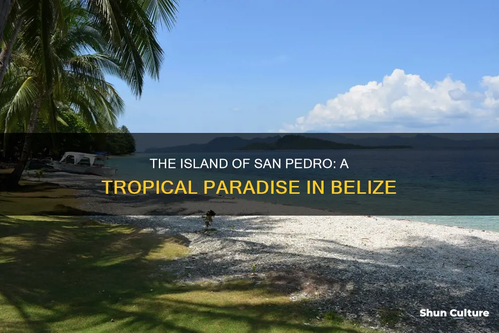 is san pedro belize a island