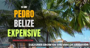 The Real Cost of Paradise: Is San Pedro, Belize, Expensive?