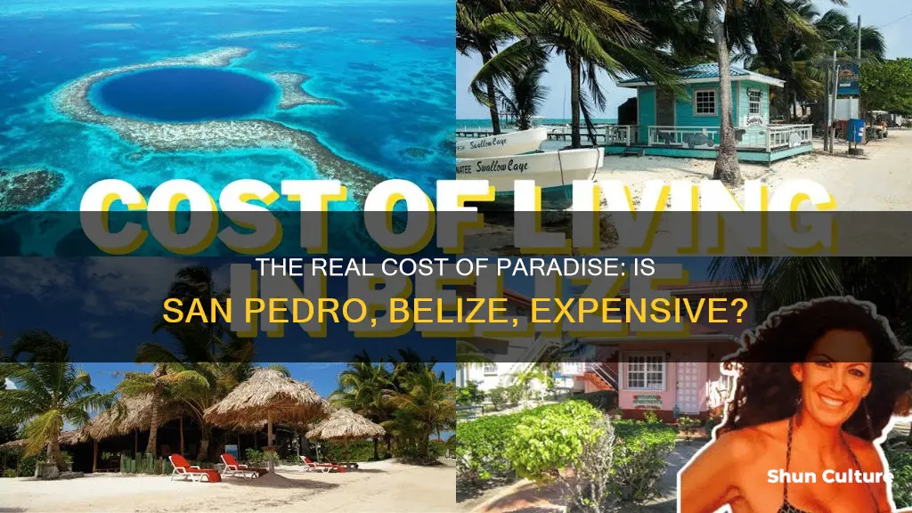 is san pedro belize expensive