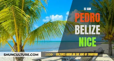 The Allure of San Pedro, Belize: A Tropical Paradise Unveiled