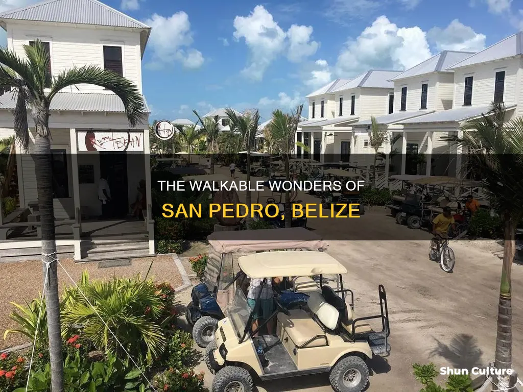 is san pedro belize walkable