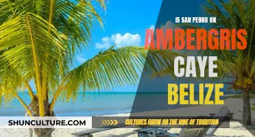 San Pedro's Place in Paradise: Exploring Ambergris Caye, Belize