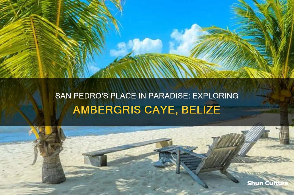 is san pedro on ambergris caye belize