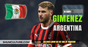 Exploring Santi Giménez's Roots: Is He Argentina's Next Soccer Star?
