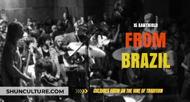 Is Santigold Brazilian? Unraveling the Singer's Cultural Background and Roots
