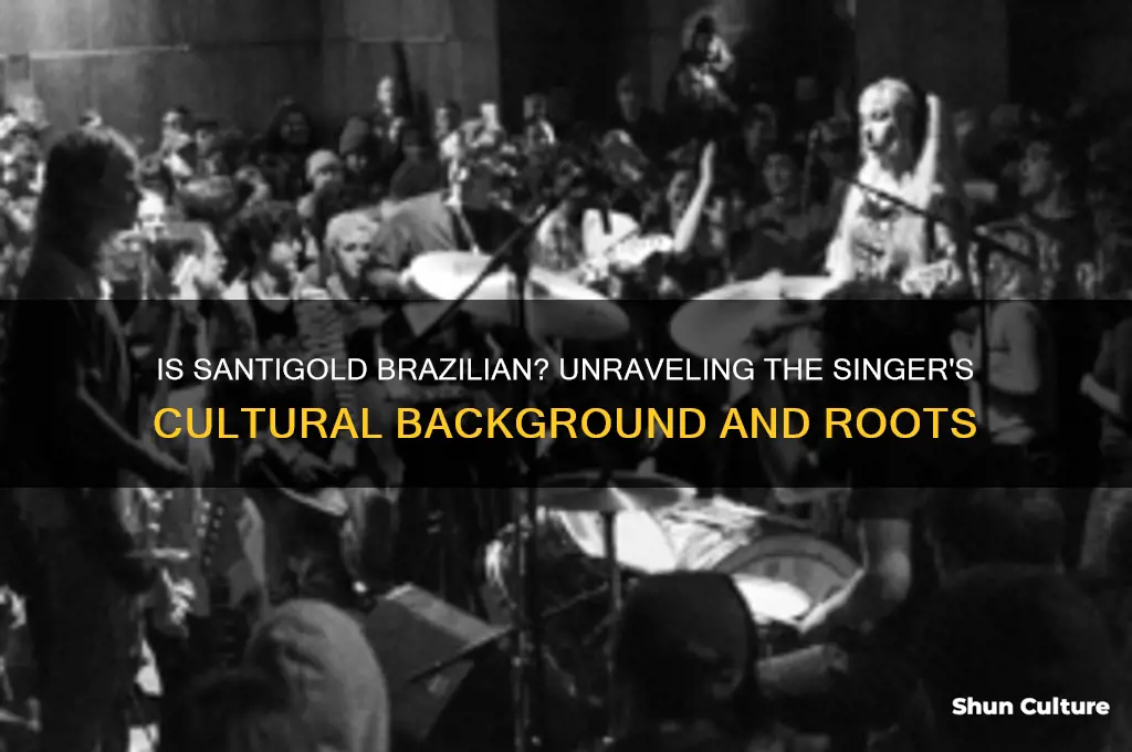 is santigold from brazil