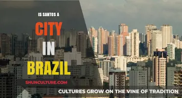 Is Santos a City in Brazil? Unveiling the Coastal Gem's Identity