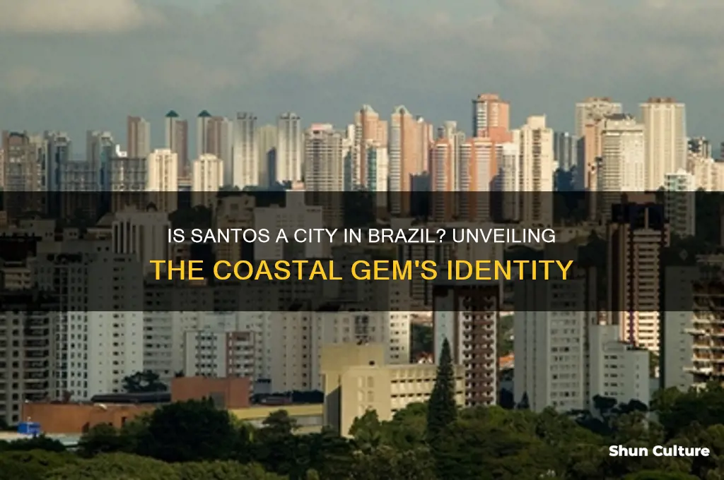 is santos a city in brazil
