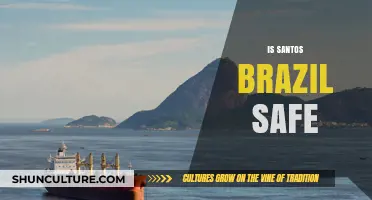 Is Santos, Brazil Safe? Exploring Security and Travel Tips for Visitors