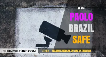 Is São Paulo Safe? Exploring Brazil's Urban Safety and Travel Tips