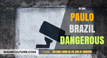 Is São Paulo Safe? Unveiling the Truth About Brazil's Largest City